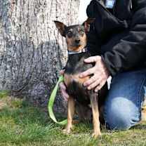 Thumbnail photo of JILSON #4