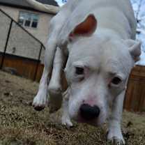 Thumbnail photo of Oakley #2