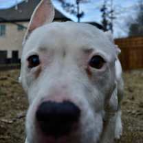 Thumbnail photo of Oakley #3