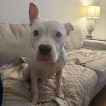 Thumbnail photo of Oakley #4