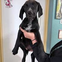 Thumbnail photo of Rooty #1