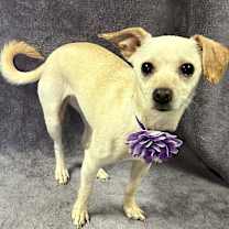 Thumbnail photo of Lexi #3