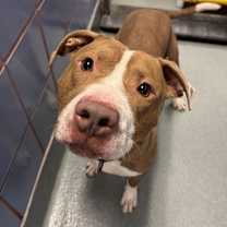 Thumbnail photo of Tootsie #1