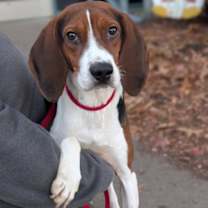 Thumbnail photo of Barnaby #2