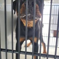 Thumbnail photo of 59942694 #2