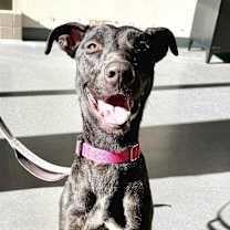 Thumbnail photo of Espresso #2