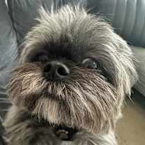 Thumbnail photo of Perri #3