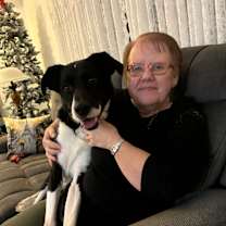 Thumbnail photo of Bailey #4