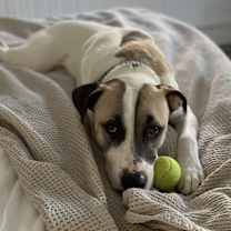 Thumbnail photo of Cody Johnson Wallace #1