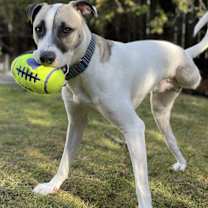 Thumbnail photo of Cody Johnson Wallace #4