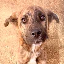 Thumbnail photo of Link H3 #1