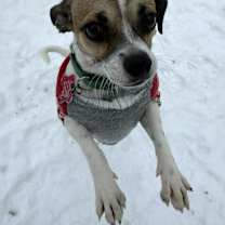 Thumbnail photo of Melissa #1