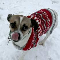 Thumbnail photo of Melissa #3