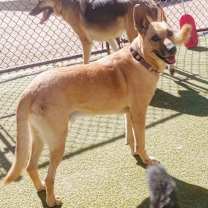 Thumbnail photo of Ranger #2