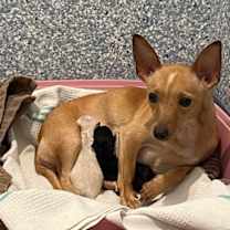 Thumbnail photo of Naveen  #2