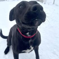 Thumbnail photo of Bebe #1