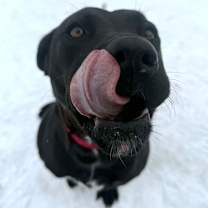 Thumbnail photo of Bebe #2