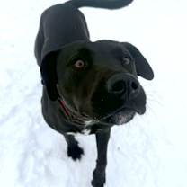 Thumbnail photo of Bebe #3