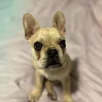 Thumbnail photo of Buddy #1