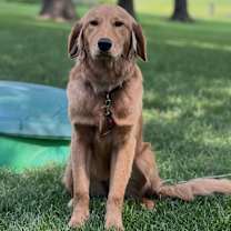 Thumbnail photo of Harper #2