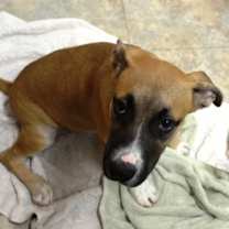 Thumbnail photo of Upton #3