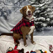 Thumbnail photo of Steve #2