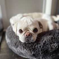 Thumbnail photo of Buffy #3