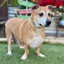 Thumbnail photo of BJ #2