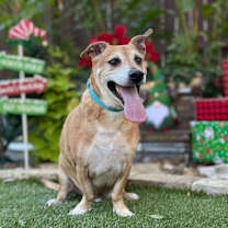 Thumbnail photo of BJ #3