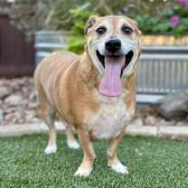 Thumbnail photo of BJ #4