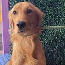 Thumbnail photo of 59941850 #3