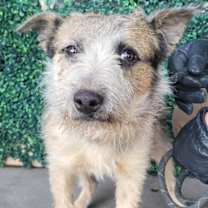 Thumbnail photo of TRIPP** #1