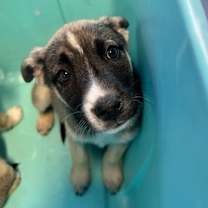 Thumbnail photo of 59943557 #2