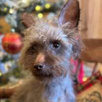 Thumbnail photo of Fabio ~ meet me! #1