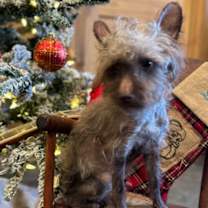 Thumbnail photo of Fabio ~ meet me! #2