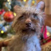 Thumbnail photo of Fabio ~ meet me! #4