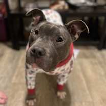 Thumbnail photo of Sloan #3