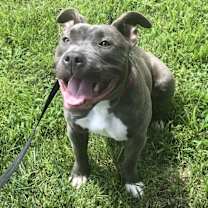 Thumbnail photo of Sloan #1