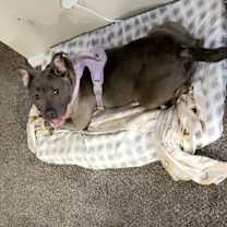 Thumbnail photo of Sloan #2