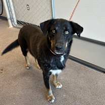 Thumbnail photo of 101380 #2