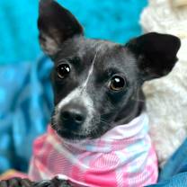 Thumbnail photo of Dori #2