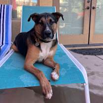 Thumbnail photo of Kodak #4