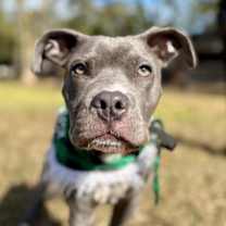 Thumbnail photo of Cheeto Your cheesy lover boy #4