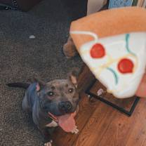 Thumbnail photo of Sloan #4