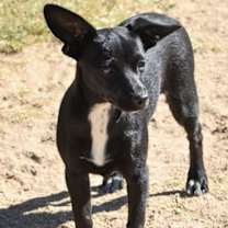 Thumbnail photo of Junebug #2