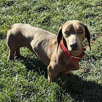 Thumbnail photo of Wally #1