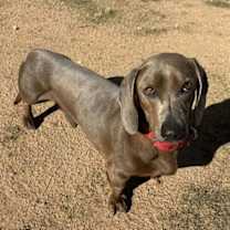 Thumbnail photo of Wally #2