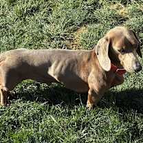 Thumbnail photo of Wally #3