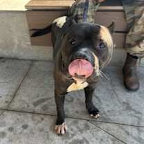 Thumbnail photo of Phillip #1