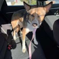 Thumbnail photo of Sonar #1